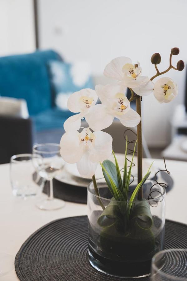 La Cantonade - Nice T2 With Garage For 4 People Near Beach Annecy Eksteriør bilde